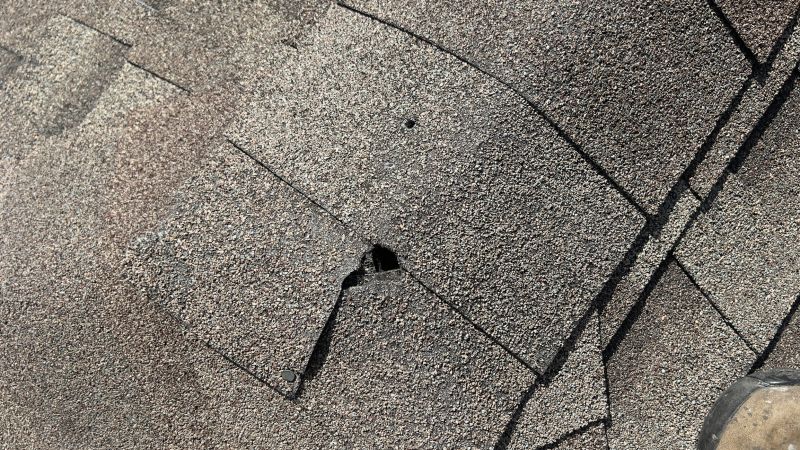 Asphalt Roof Repair